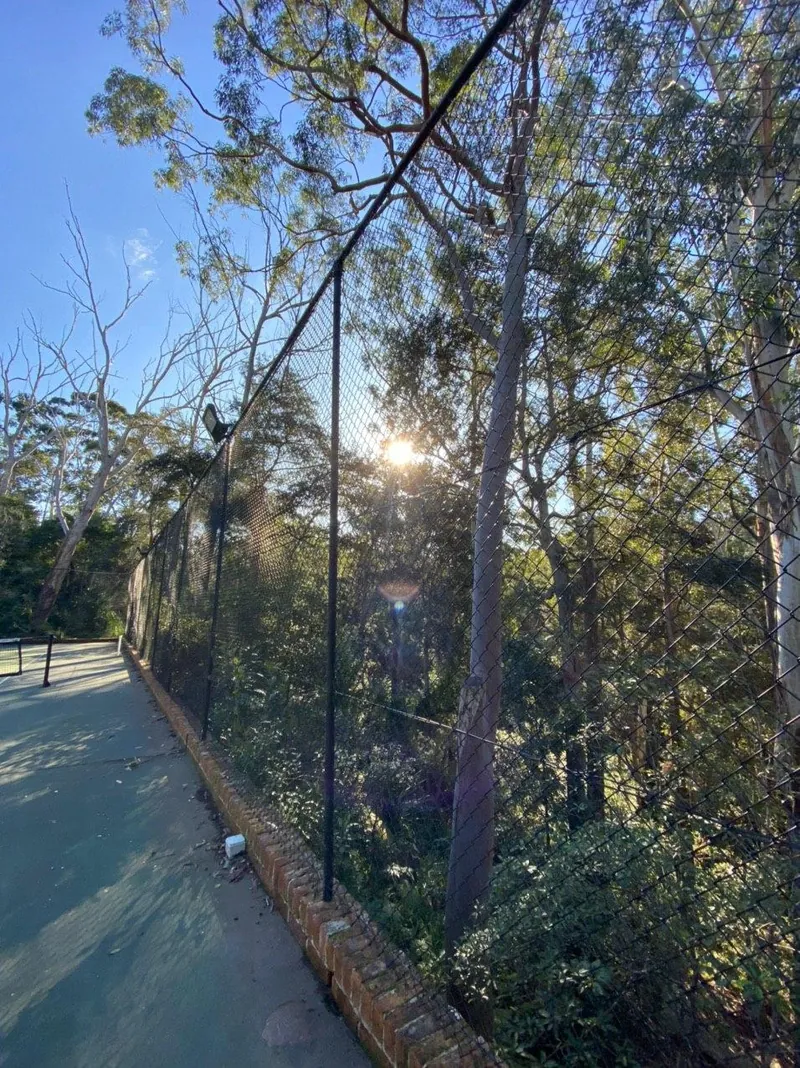 Tall black fence along a bush walkway