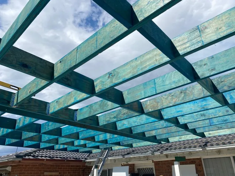 Pergola rafters seen from below