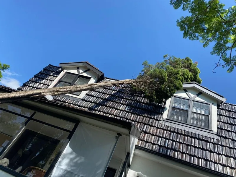 Tree fallen across the tiled roof of a two-storey house
